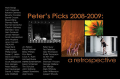 Peter's Picks: Retrospective 2008 - 2009
