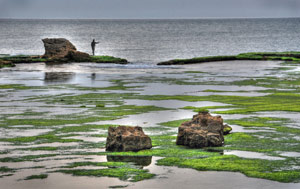 Fishing in Acre Harbor by David Kotok