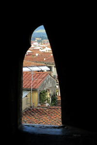 View from the Duomo by Betsy Phillips