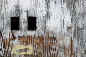 Two Eyes by Betsy Phillips