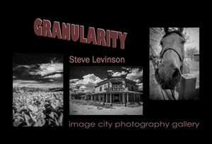 Granularity Postcare - Steve Levinson