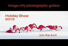 Holiday Show 2015 Showcard