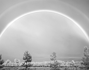 InfraRed Rainbow by Carl Crumley