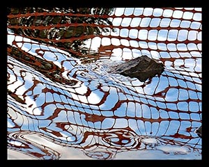 Reflections with Netting by Justyn Sweany Wolf