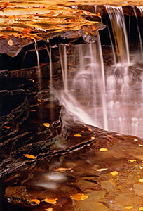 Golden Falls at Stony Brook