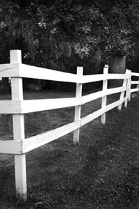 Fence by Gil Maker