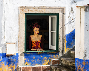 Woman in the Window by Clyde Comstock