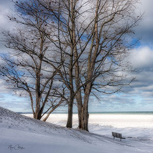 Webster Winter Morning by Marie Costanza