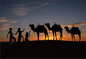 Sahara Silhouette by Steve Dent