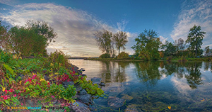 Conesus Lake Outlet by Sheridan Vincent