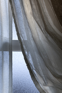 Windows & Curtain by Luann Pero