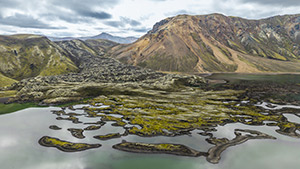 Mosaic of Fire and Ice by Larry Mandelker