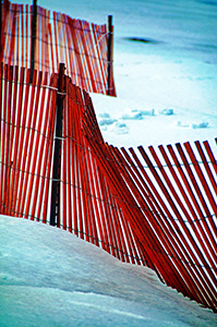 Bending but Unbroken by Michael Shoemaker