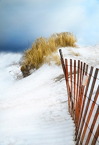 Snow Guilded Dunes by d dargan teska