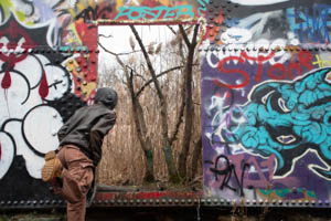 Looking In by Ara Smith