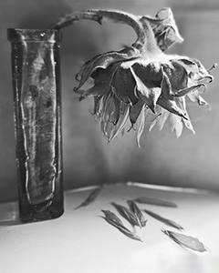 Sundown by Sulyn Bennett-Hennessey