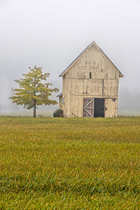 Tribute Geneseo Yello Barn by Donna LaPlante