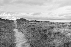 Path to the Beach by Gil Maker