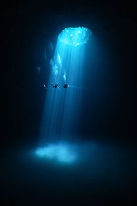 Liquid Light by Shawn Murphy