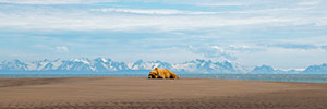 Sleeping Bear by Zachary Scott